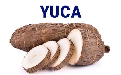 La Yuca, el alimento ideal para una dieta saludable